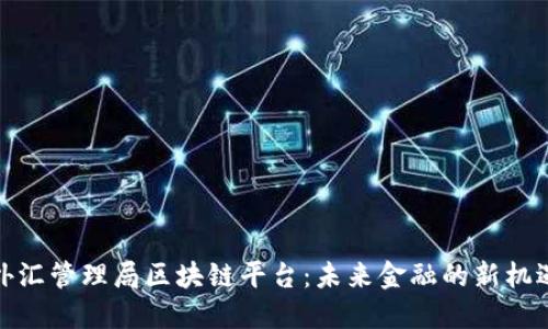 外汇管理局区块链平台：未来金融的新机遇