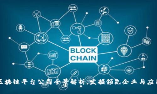 中国区块链平台公司全景解析，发掘领先企业与应用案例