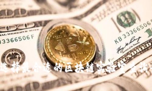 如何选择最合适的区块链实验室查询平台？