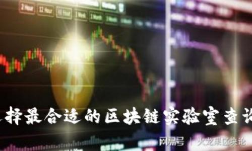 如何选择最合适的区块链实验室查询平台？