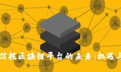 国际信托区块链平台的未来：机遇与挑战