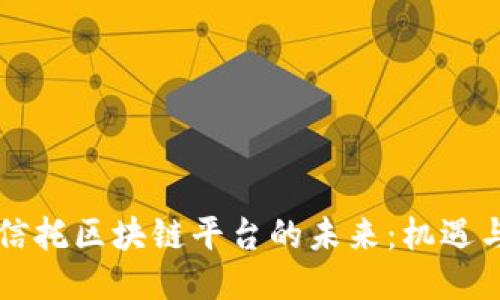 国际信托区块链平台的未来：机遇与挑战