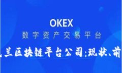 了解乌克兰区块链平台公司：现状、前景与挑战
