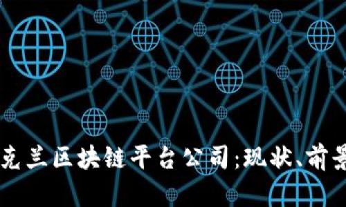 了解乌克兰区块链平台公司：现状、前景与挑战