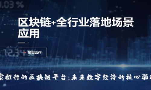 国家推行的区块链平台：未来数字经济的核心驱动力