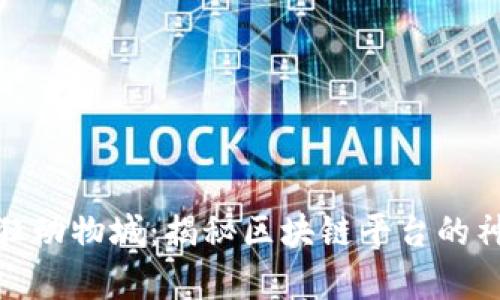 探索疯狂动物城：揭秘区块链平台的神奇世界