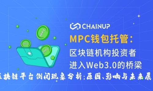 区块链平台倒闭现象分析：原因、影响与未来展望