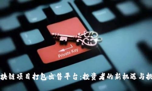 区块链项目打包出售平台：投资者的新机遇与挑战