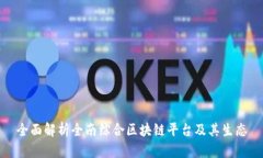全面解析全南综合区块链平台及其生态