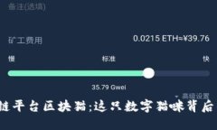 探索香港区块链平台区块猫：这只数字猫咪背后