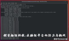 探索趣链科技：区块链平台的潜力与挑战