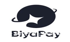 探索实用的区块链查询平台：如何选择最适合你