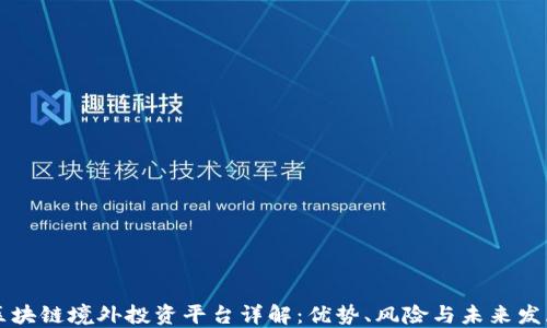 
区块链境外投资平台详解：优势、风险与未来发展