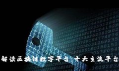 全面解读区块链数字平台：十大主流平台分析