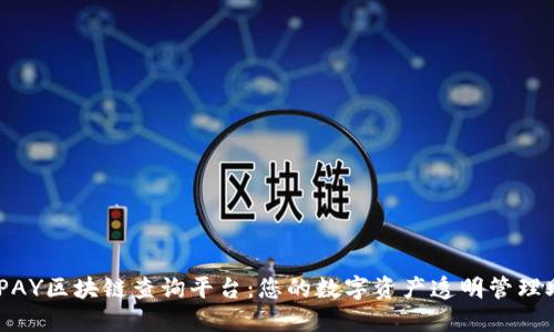 CGPAY区块链查询平台:您的数字资产透明管理助手