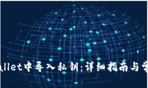 如何在TPWallet中导入私钥：详细指南与常见问题解答