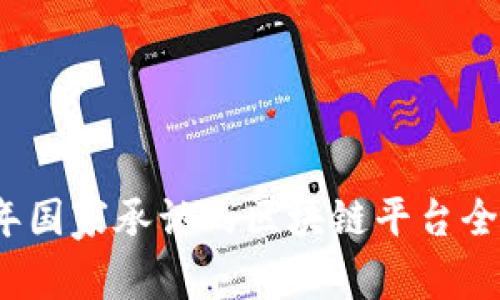 2023年国家承认的区块链平台全面解析